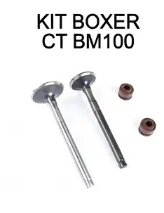 KIT DE VALVULAS COMPLETO BOXER CT100 / BM100