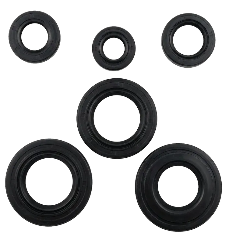 KIT RETENEDORES DTK 125-175/REVO KITX6